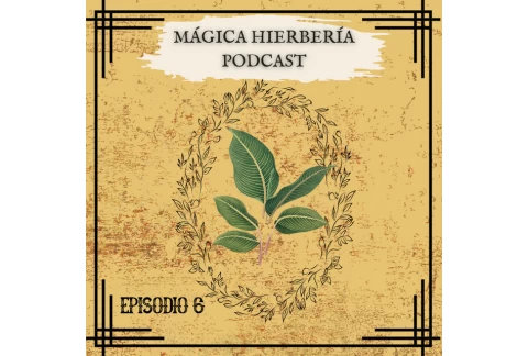 EL TRABAJO CON LA HERBOLARIA.