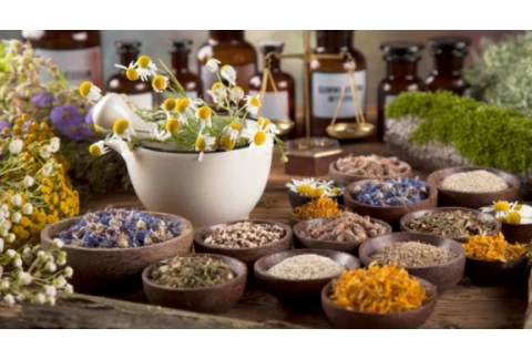 HERBOLARIA | ¿Qué es la herbolaria? 🌿