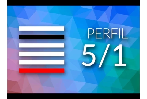 Vista Previa: Perfil 5-1 - Diseño Humano - Alokanand Díaz