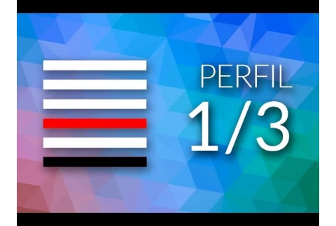 Vista Previa: Perfil 1-3 - Diseño Humano - Alokanand Díaz