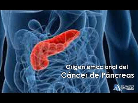 Imagen portada Origen Emocional del Cáncer de Páncreas